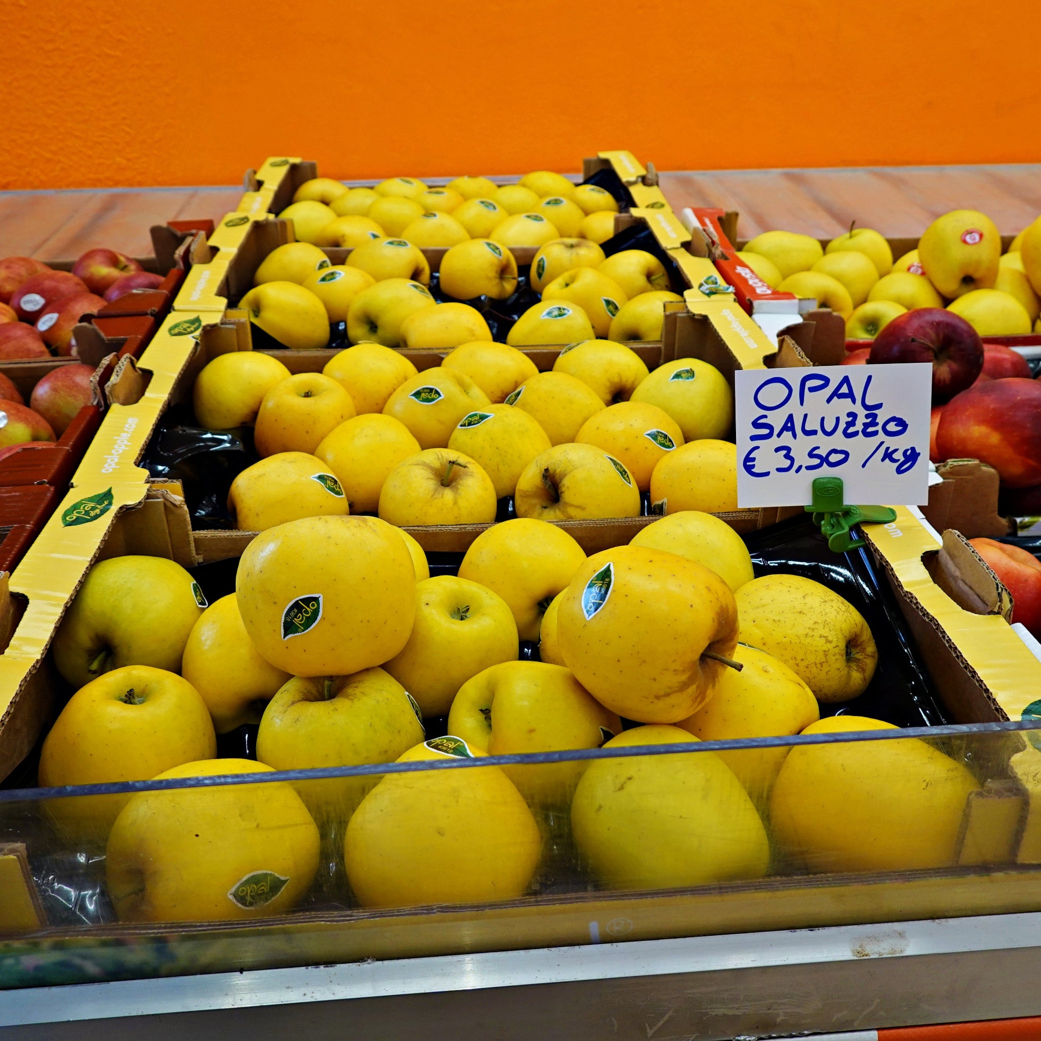 etichette segnaprezzo per pinze portaprezo