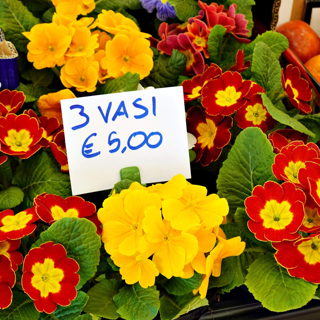 pinza portaprezzi per agrarie